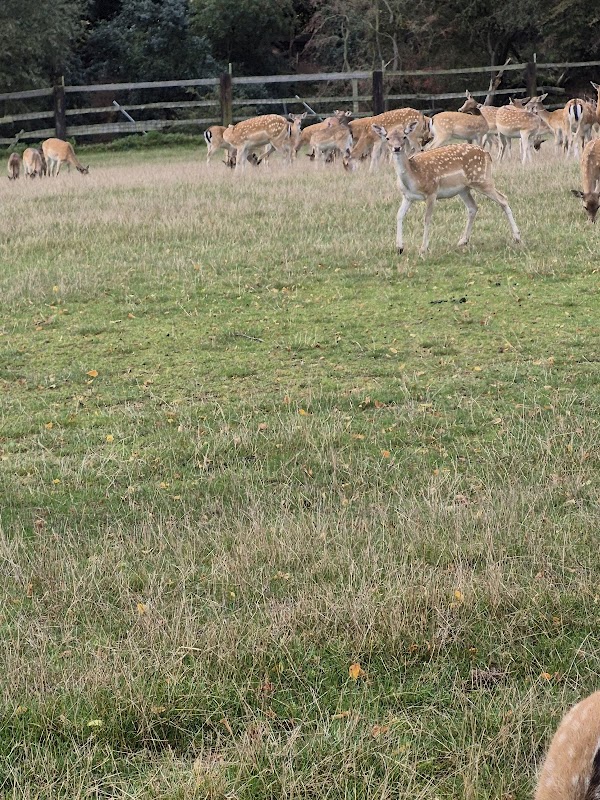 Obora divoké zvěře