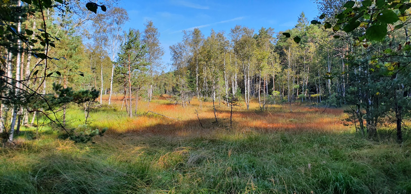 Naučná stezka Dářská rašeliniště