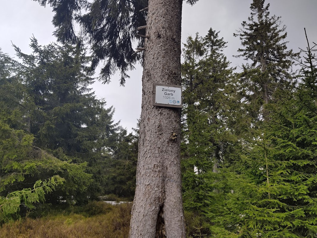 Zielony Garb 1026 m n.p.m