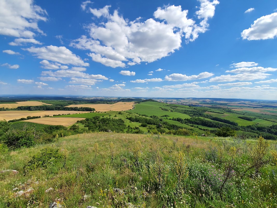 Růžový vrch a Kočičí kámen