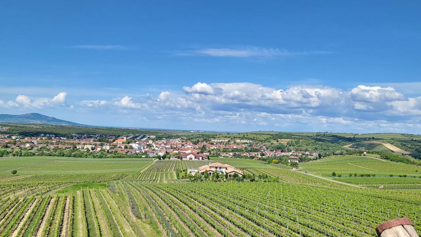 Vyhlídka na Velké Bílovice