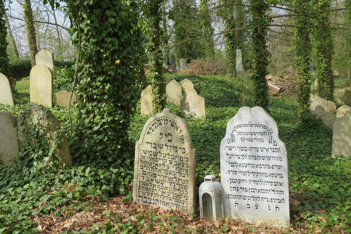 Jewish cemetery of Tučapy