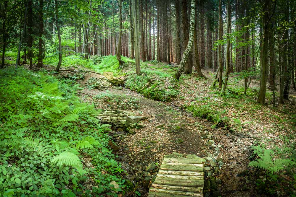 Radioaktivní pramen Mladkov