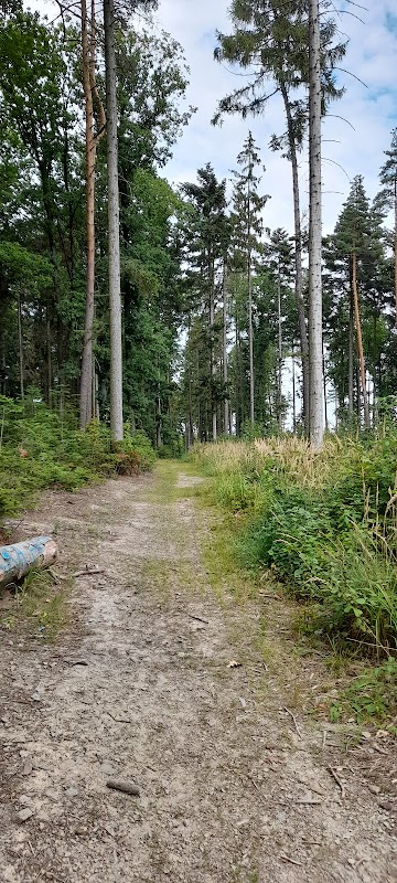 Svatokopecká trasa na Svatém Kopečku