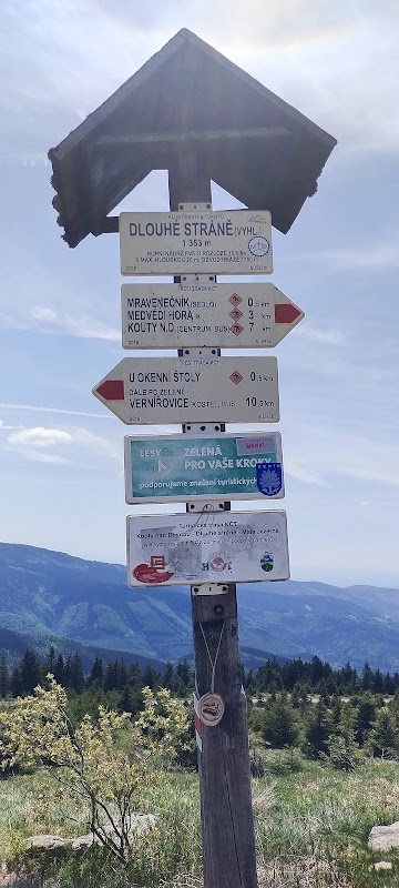 Vyhlídka Dlouhé Stráně 1353m