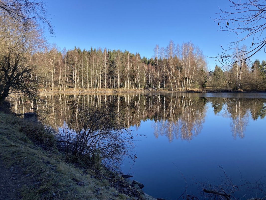 Přírodní památka Ratajské rybníky