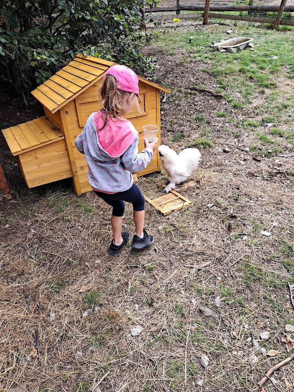 Zookoutek Salaš, LETNÍ KINO (každou prázdninovou sobotu 20:30) #ski_arena_karlov