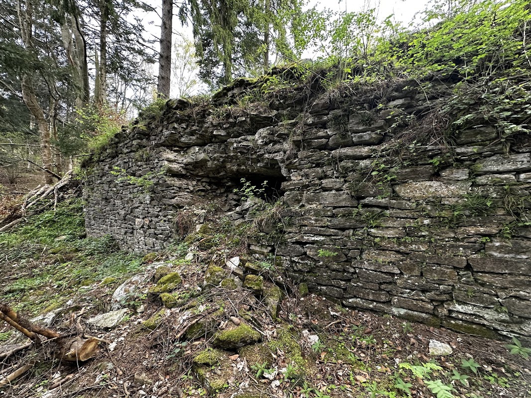 Zřícenina hradu Pleče