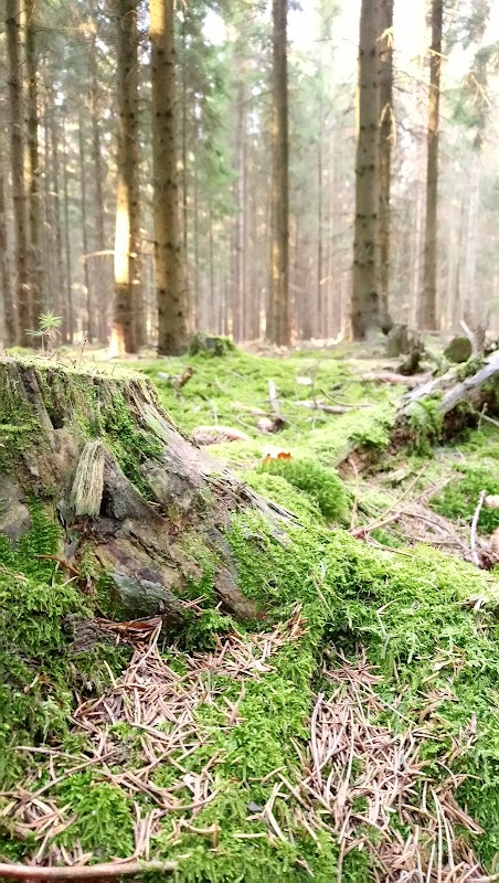 Přírodní park Orlice