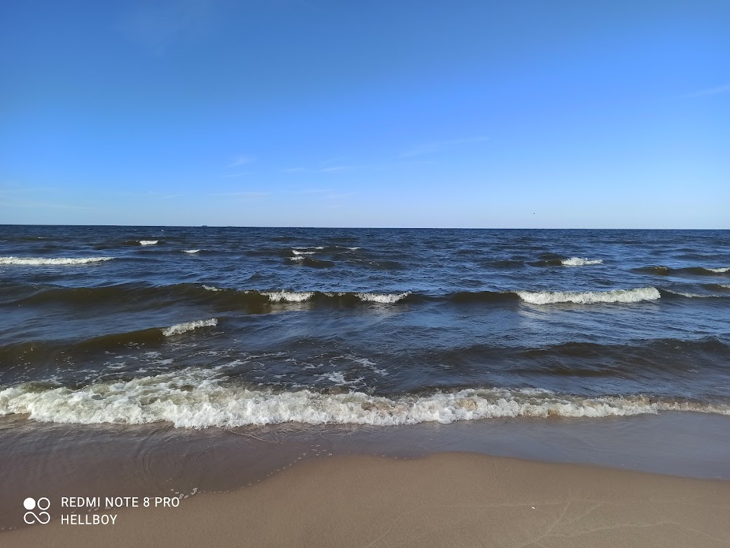 Szlak Wyspy Sobieszewskiej