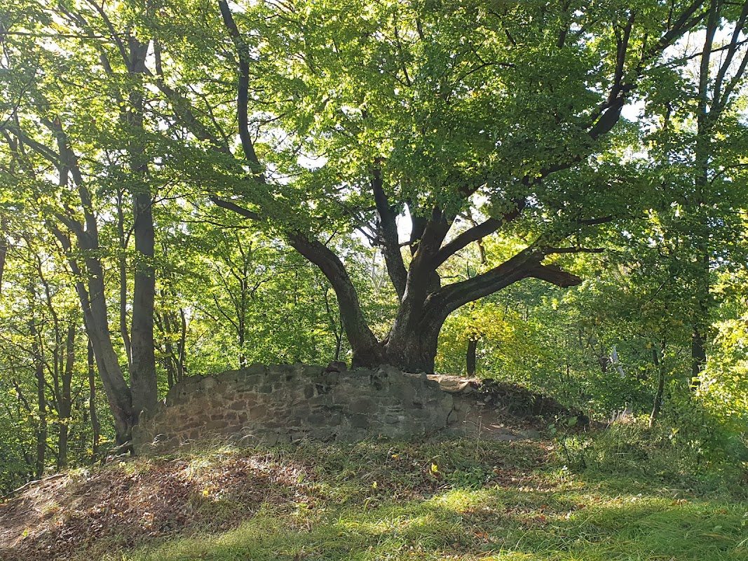 Zřícenina hradu Zuvačov
