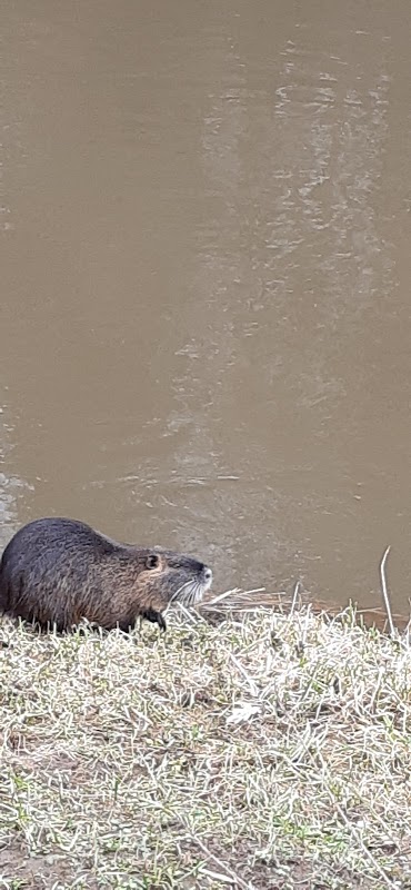 Cyklostezka Světlá nad Sázavou - Smrčná