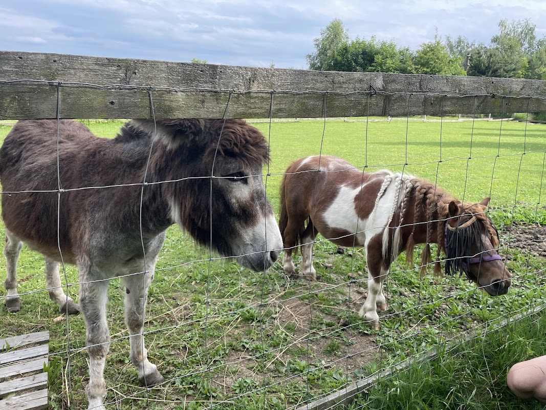 Mini zoo - zvířata v ohradách