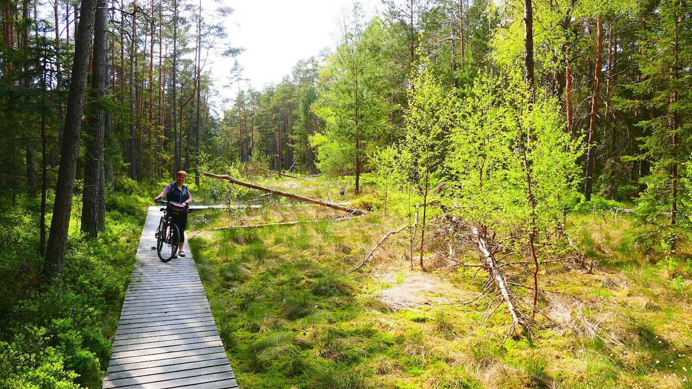 Národní přírodní rezervace Dářko