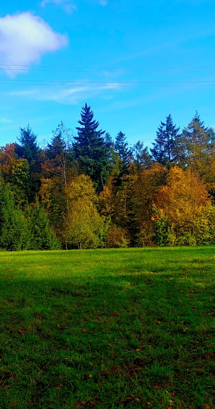 Podkopná Lhota - točna