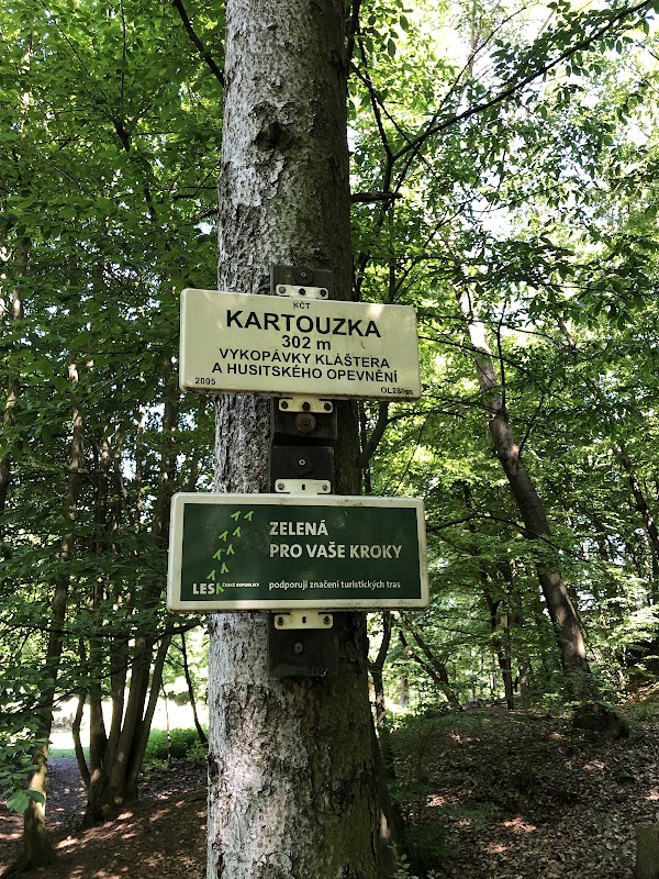 Zřícenina kláštera Kartouzka