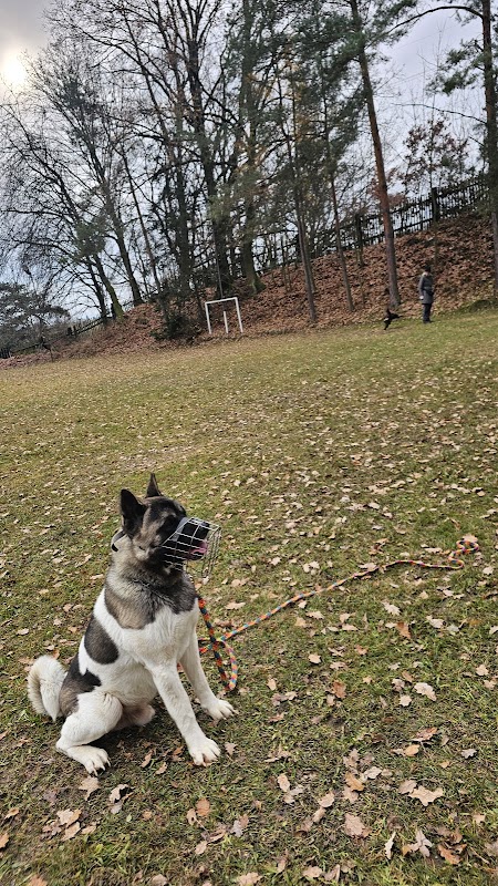 ZKO Pyšely - Cvičiště pro psy