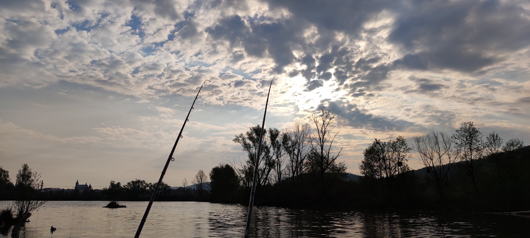 Cvičák ZKO Hranice