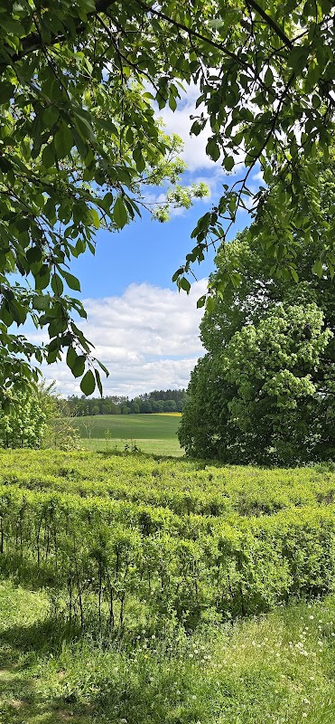 Přírodní bludiště