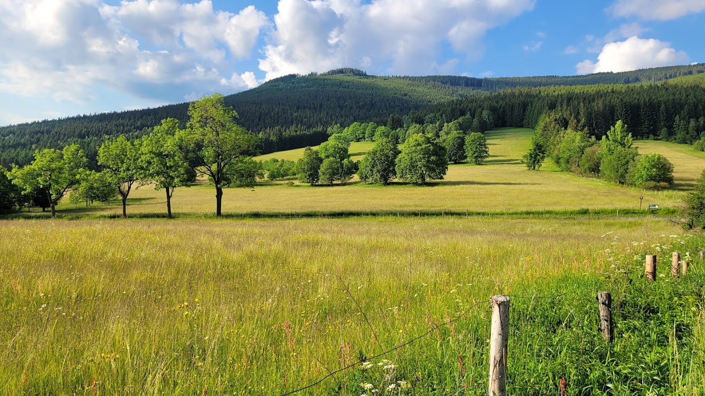 Přemyslovské sedlo