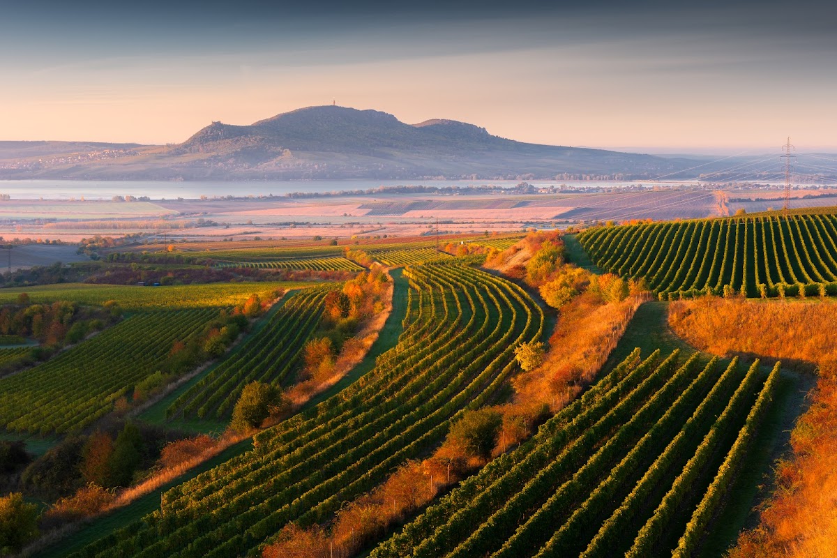 Vyhlídka na Pálavu