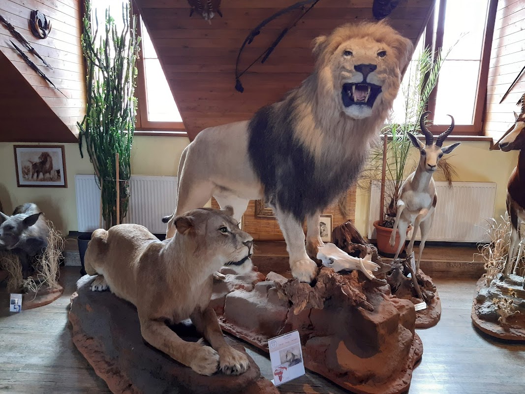 Africké muzeum SAFARI