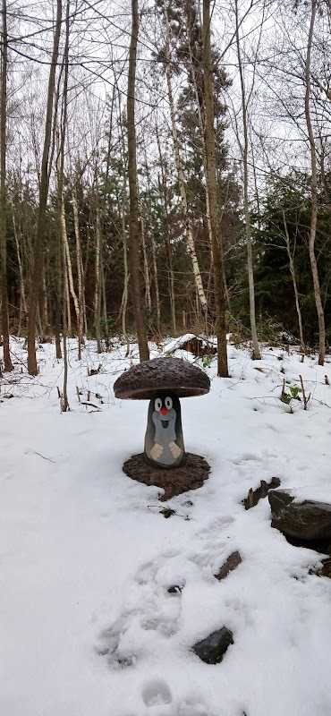 Ścieżka dydaktyczna „Z bajką do studzienki Krecika“