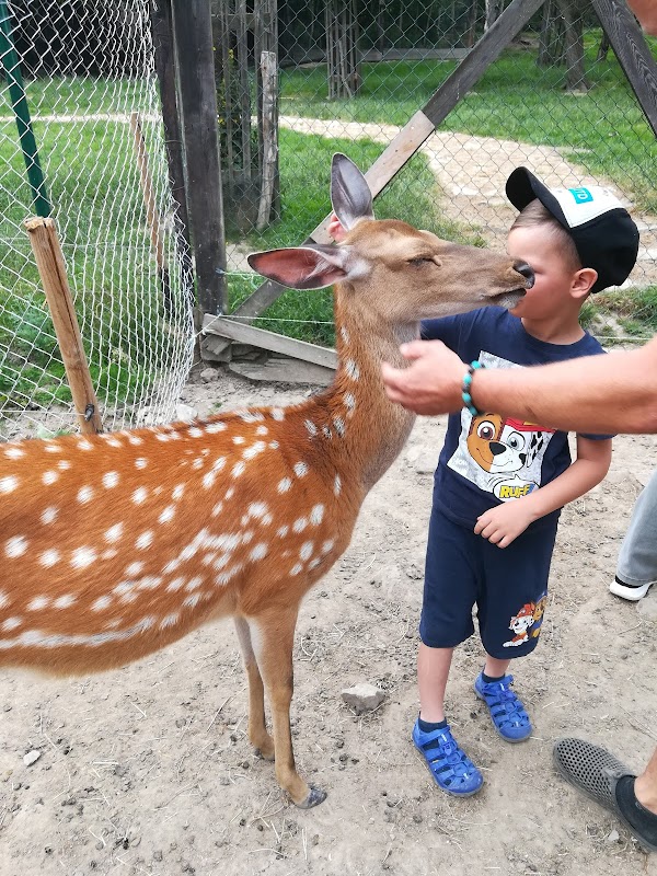 Preparátorské zoologické centrum Srdov