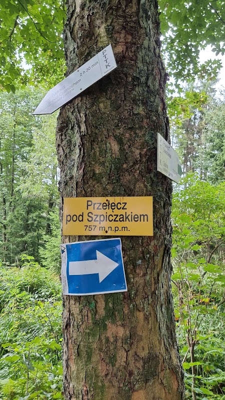 Przełęcz pod Szpiczakiem