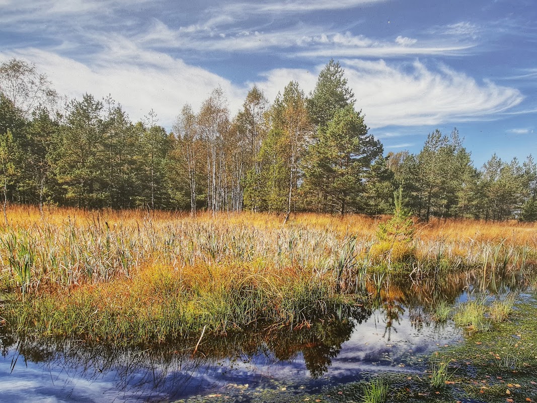 Národní přírodní rezervace Radostínské rašeliniště