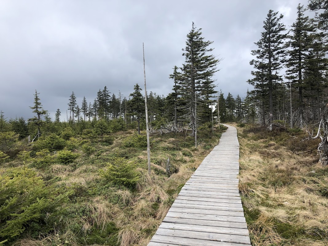 Stezka Švýcárna - Červenohorské sedlo