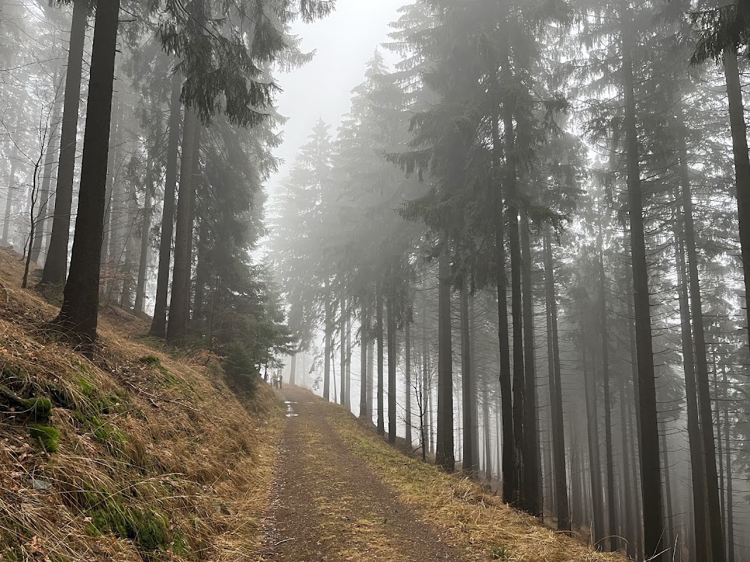 Lesní Ekostezka Švagrov