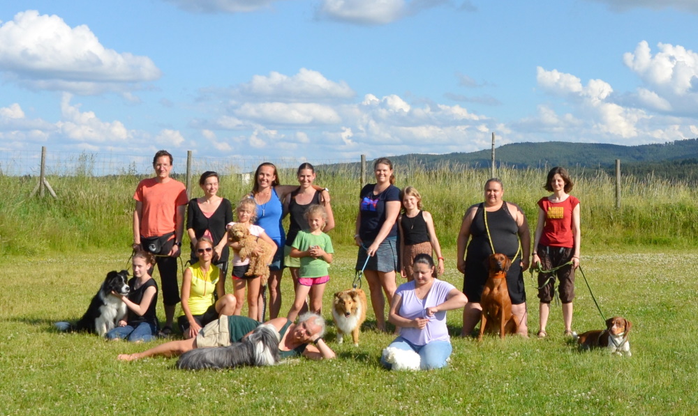 Psí škola a Eshop Dancing Dogs