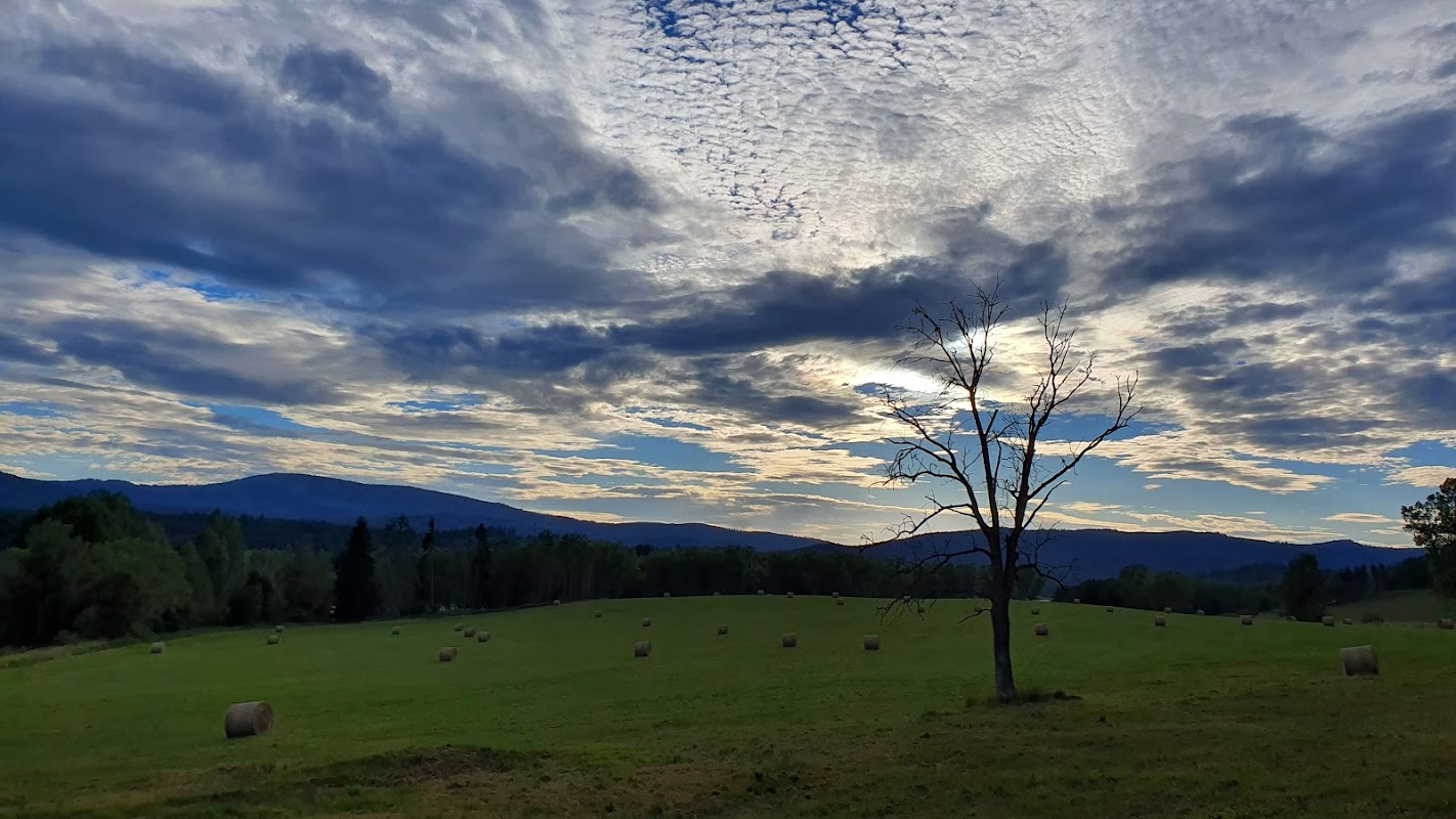 Vyhlídka na Smrčinu a Plechý