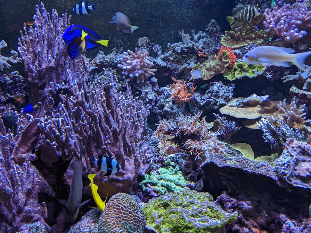 Marine Aquarium on Fichtelberg