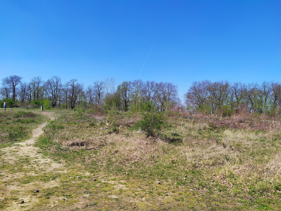 Keltské oppidum hradiště Závist