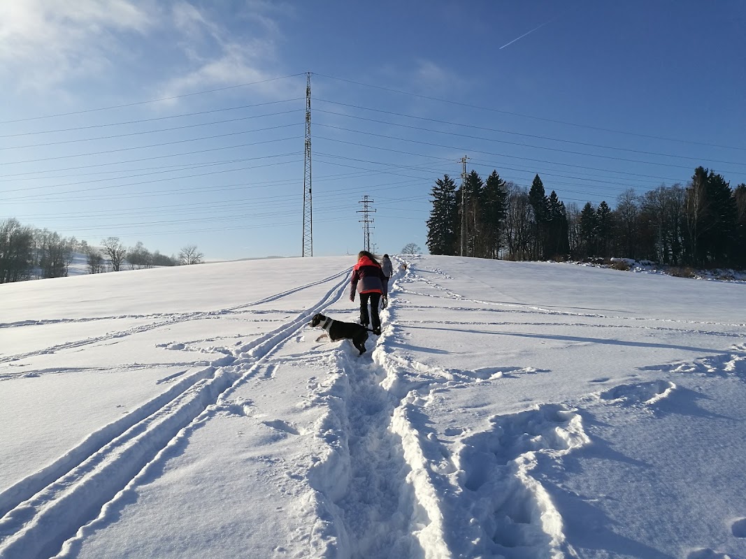 Rekreační a sportovní areál Vesec