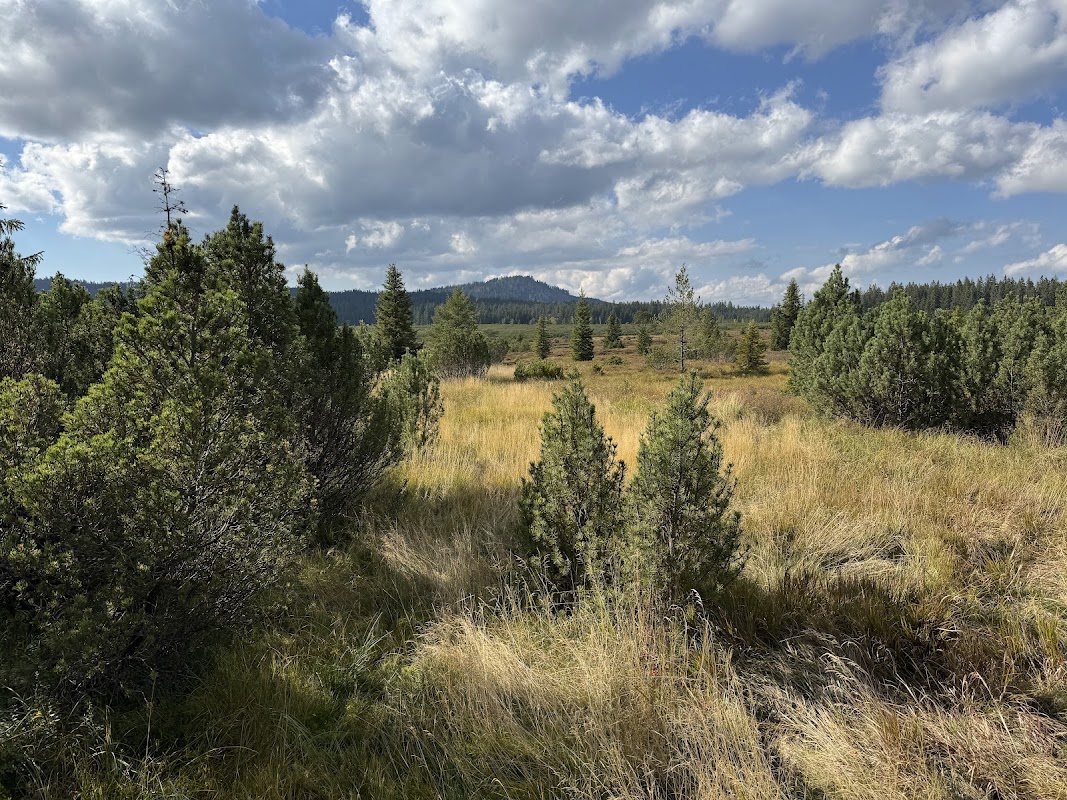 Vyhlídka na Jezerní slať