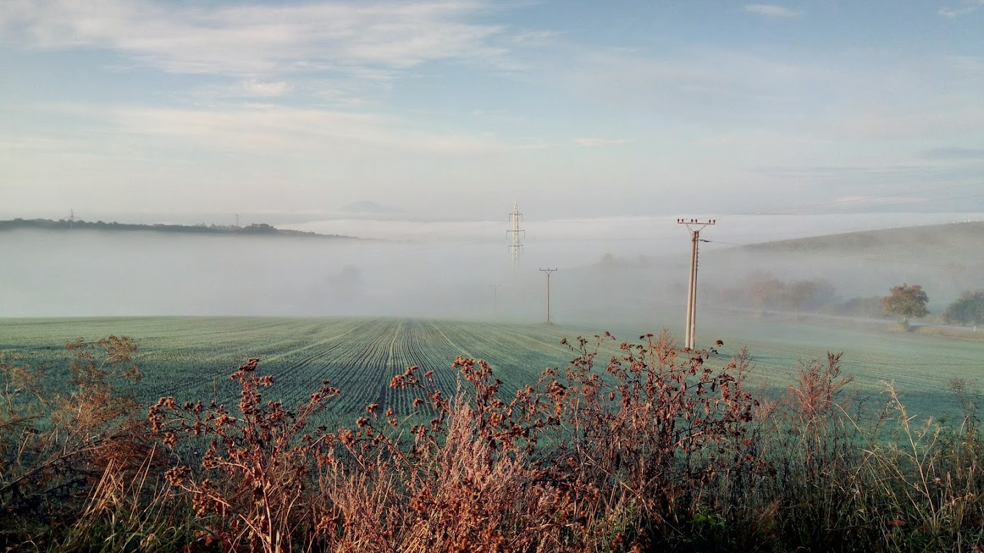 Vyhlídka na Hustopeče