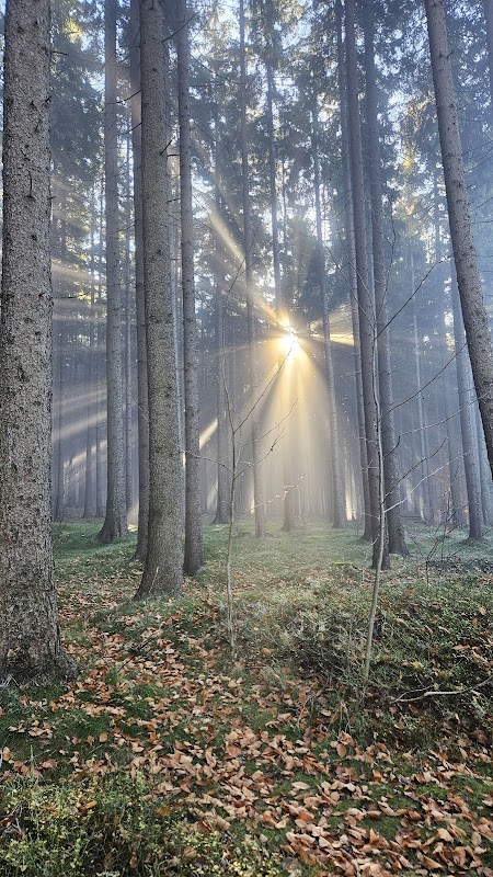 Honské sedlo - Na Pasách