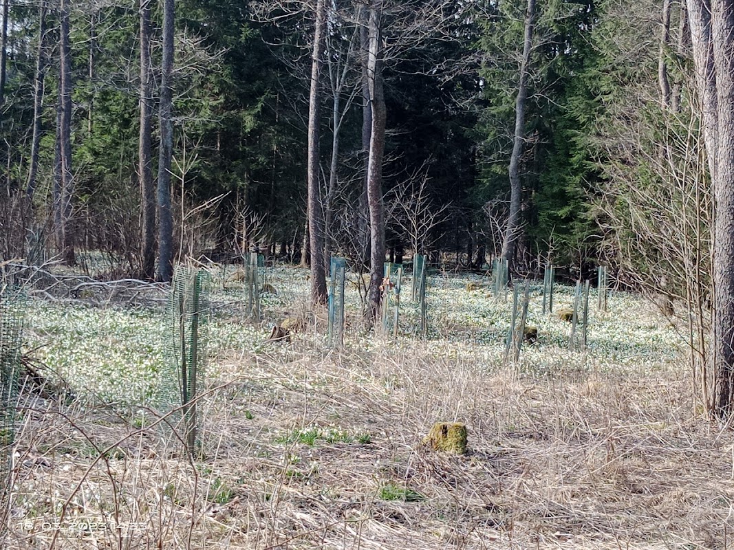 Bledule Ransko-narodni prirodni rezervace