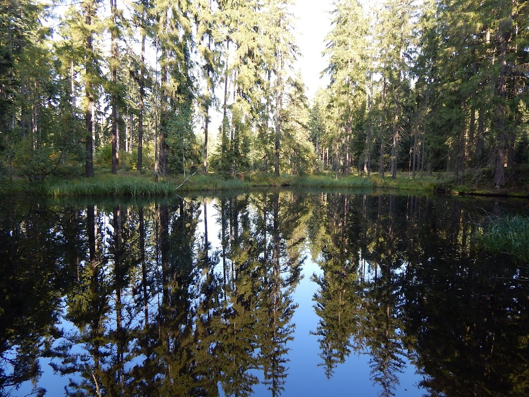 Přírodní rezervace Ranská jezírka