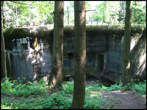 Pěchotní srub StM - S 50 U Trati