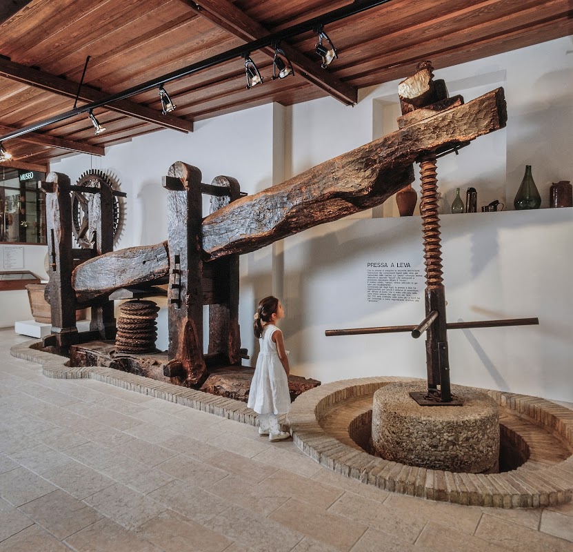 Museo dell'Olio