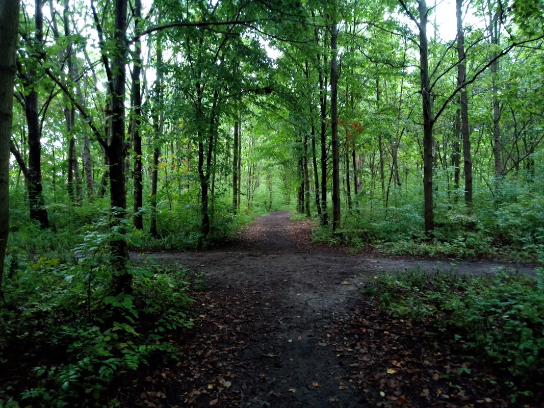 Lesopark Velké Bílovice