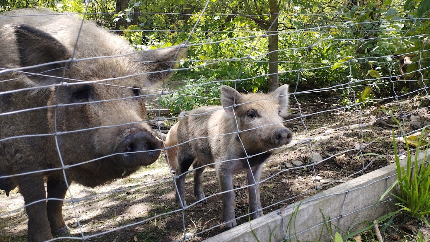 Bellama spol. S R.o.