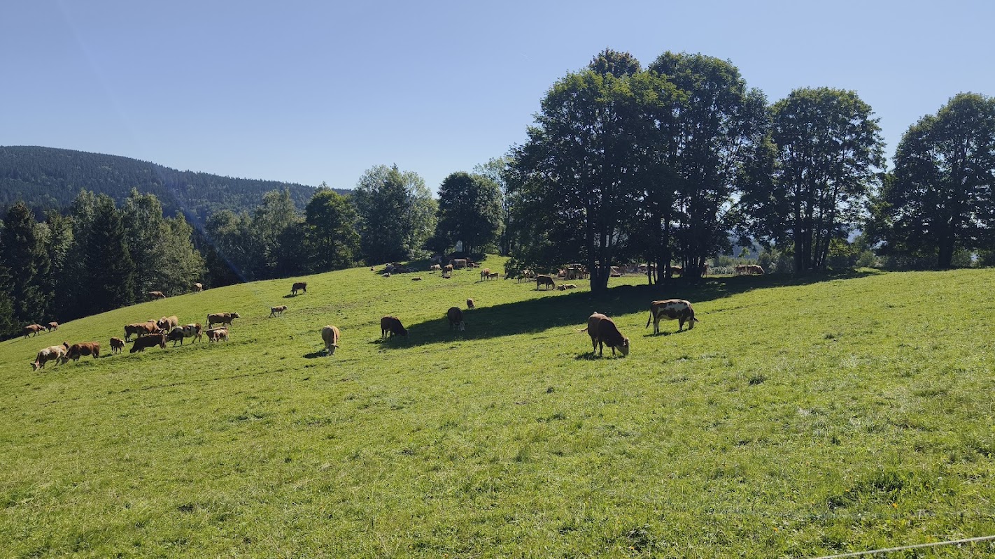 Vyhlídkový altán - Bizonova zvonička