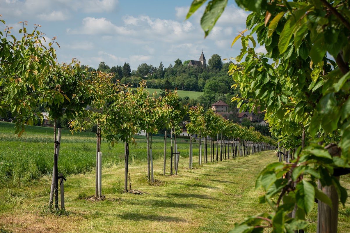 Naučná stezka Karla Havlíčka Borovského