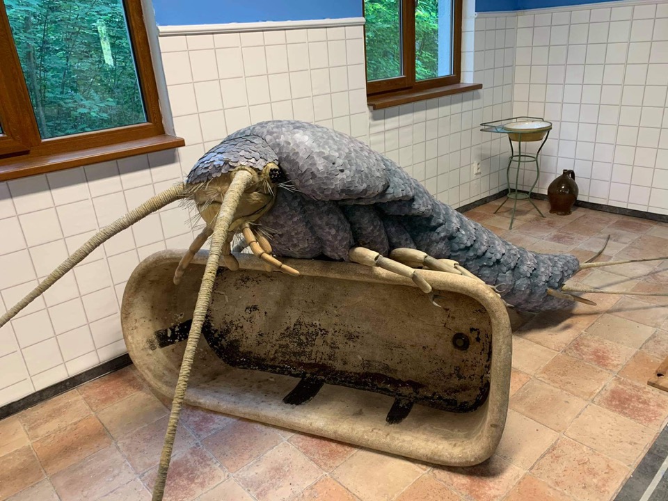 Expozice Mikrokosmos