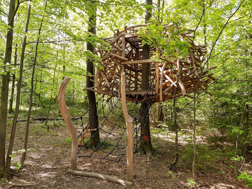 Lesní stezka Vyhlídka